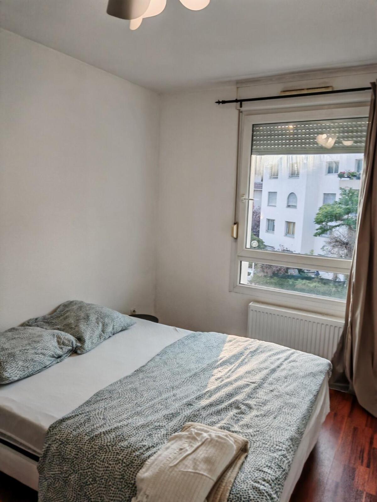 Appartement Au Centre Straatsburg